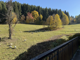 L'Hermine, 3 chambres, 80m2 - 7 personnes