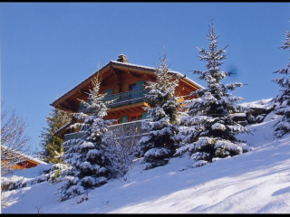 Chalet de luxe traditionnel en bois très belle vue